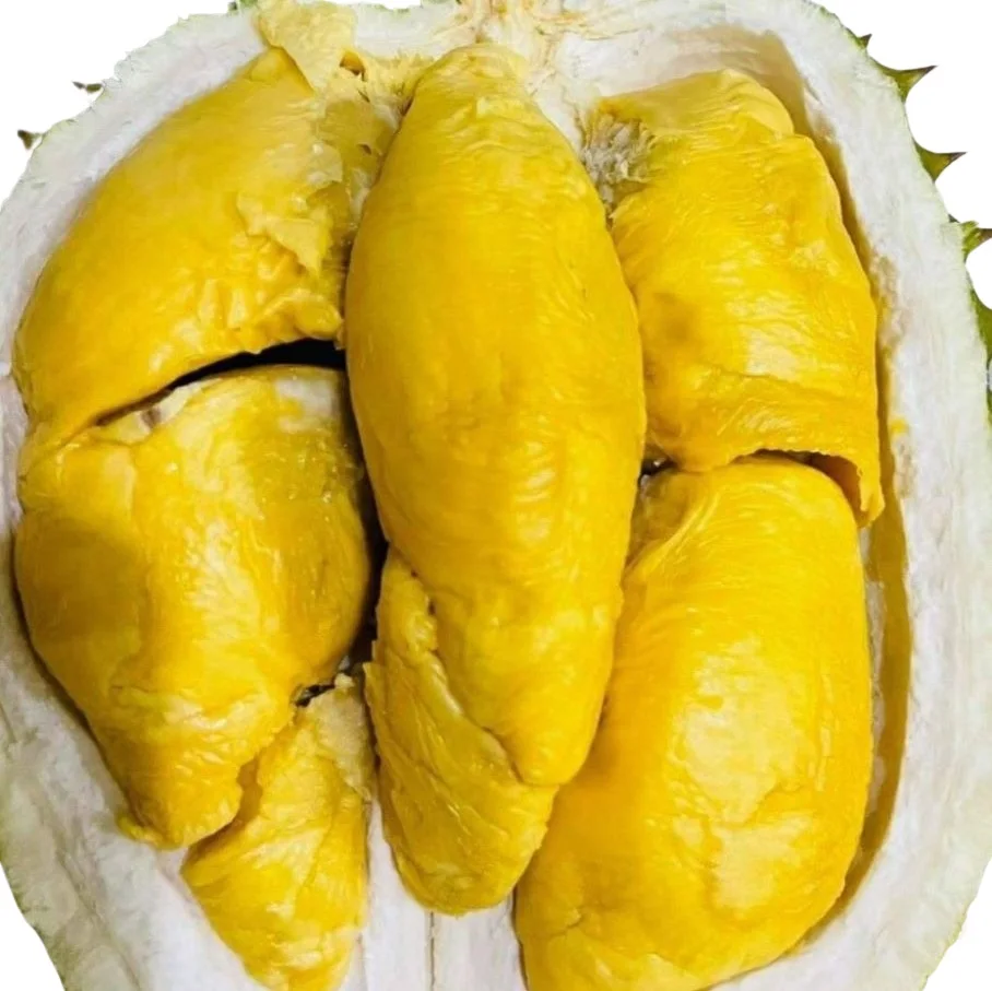 Monthong/ Dona Vietnam Durian fresh fruit- Premium, high quality, clean farming, Global GAP, prestige, attractive price