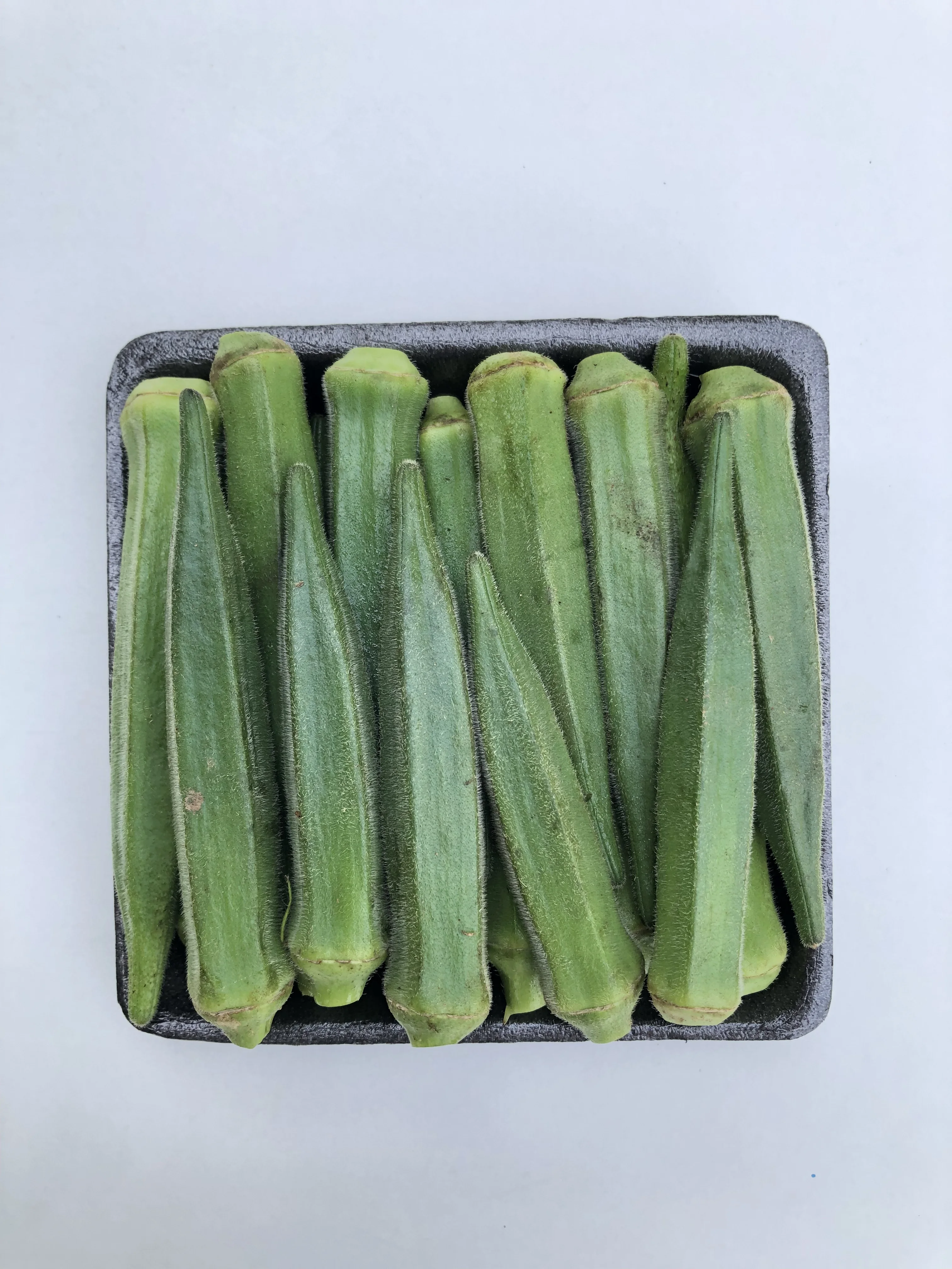Fresh Okra Fresh Vegetables Organic Fresh Products Fresh Style Weight Origin Type Grade A from Thailand for Export