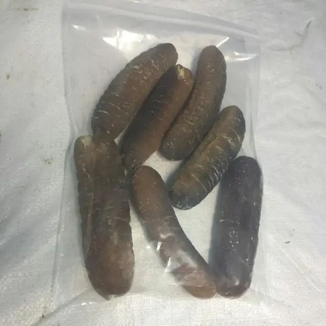 2021 Dried Sea Cucumber / White Teat Sea cucumber / Black Sand Sea cucumber