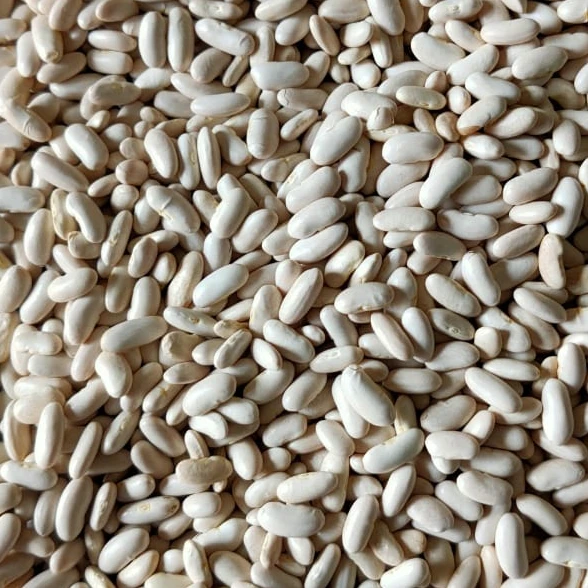 White Kidney Beans