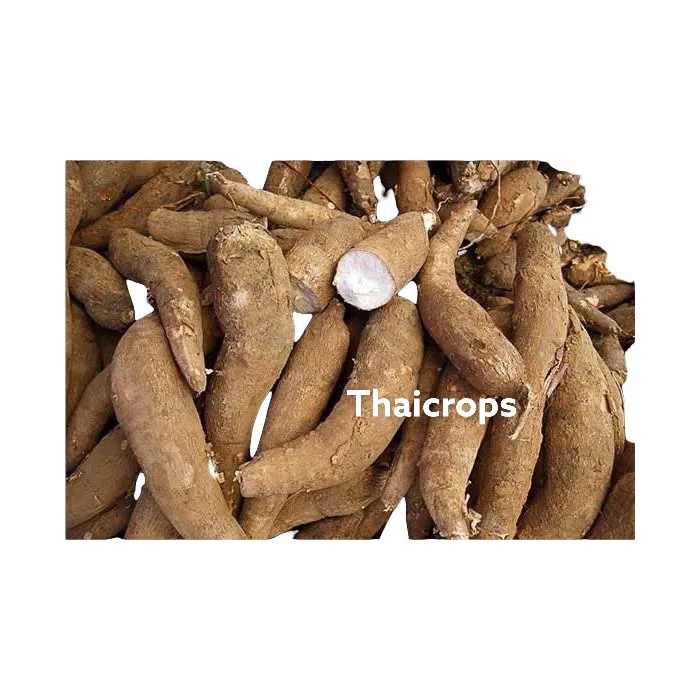 Best Seller High Quality Tapioca starch Product from Thailand