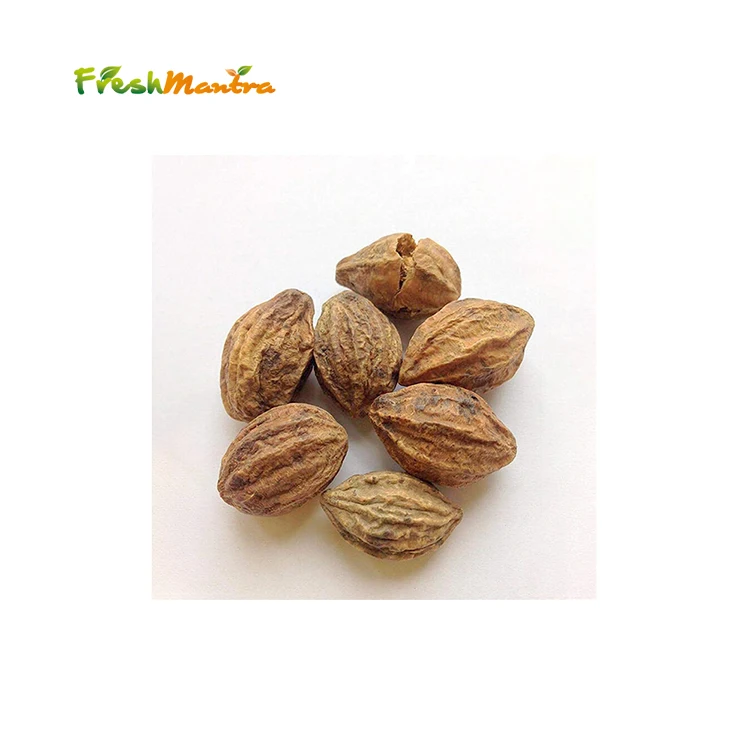 100% Organic Haritaki Seed Extract Powder With 24 Months Longer Shelf Life