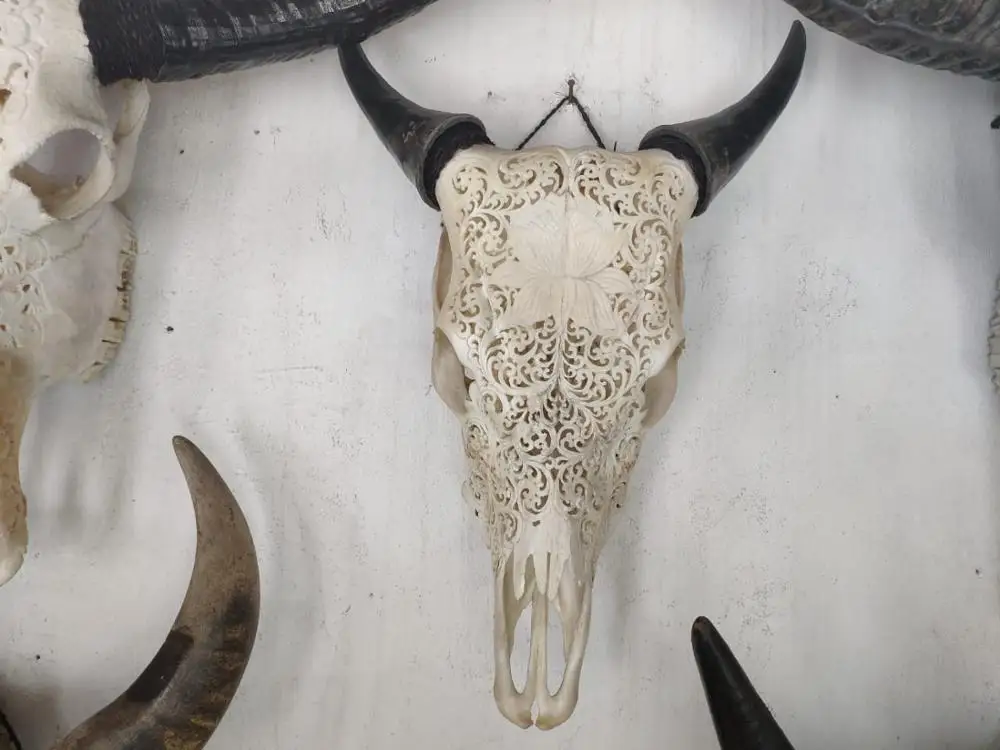 real animal skull cow head hand carved 100% in stock mixed design