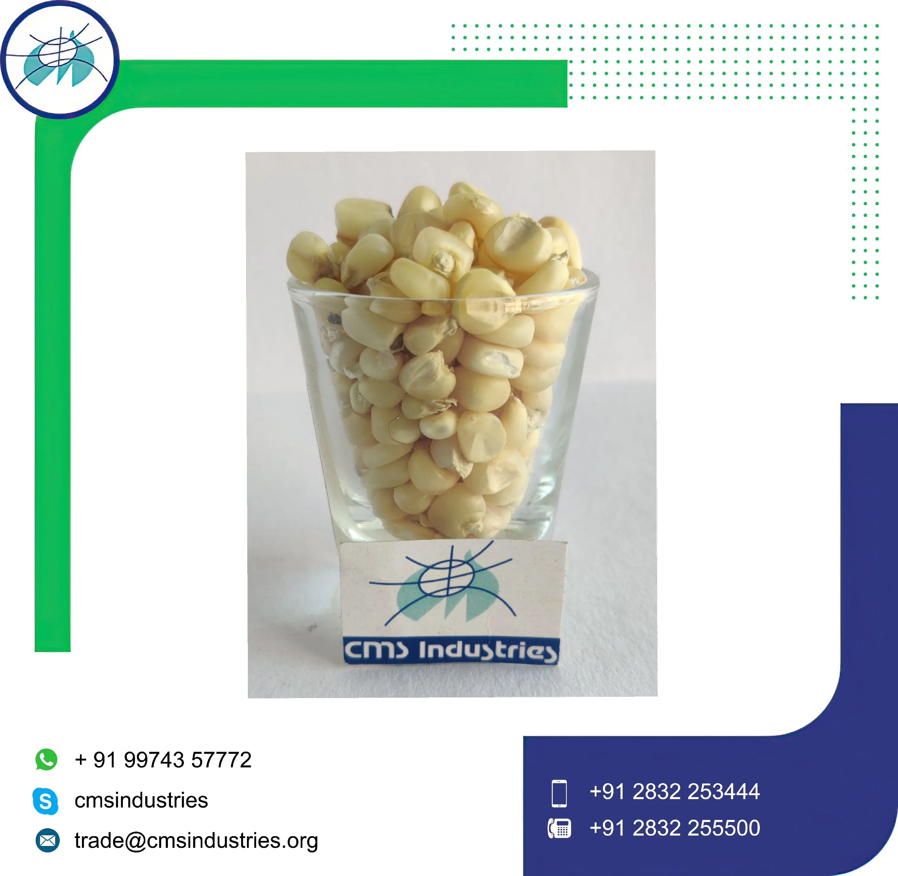 Animal Feed  Naturally Extract White Corn