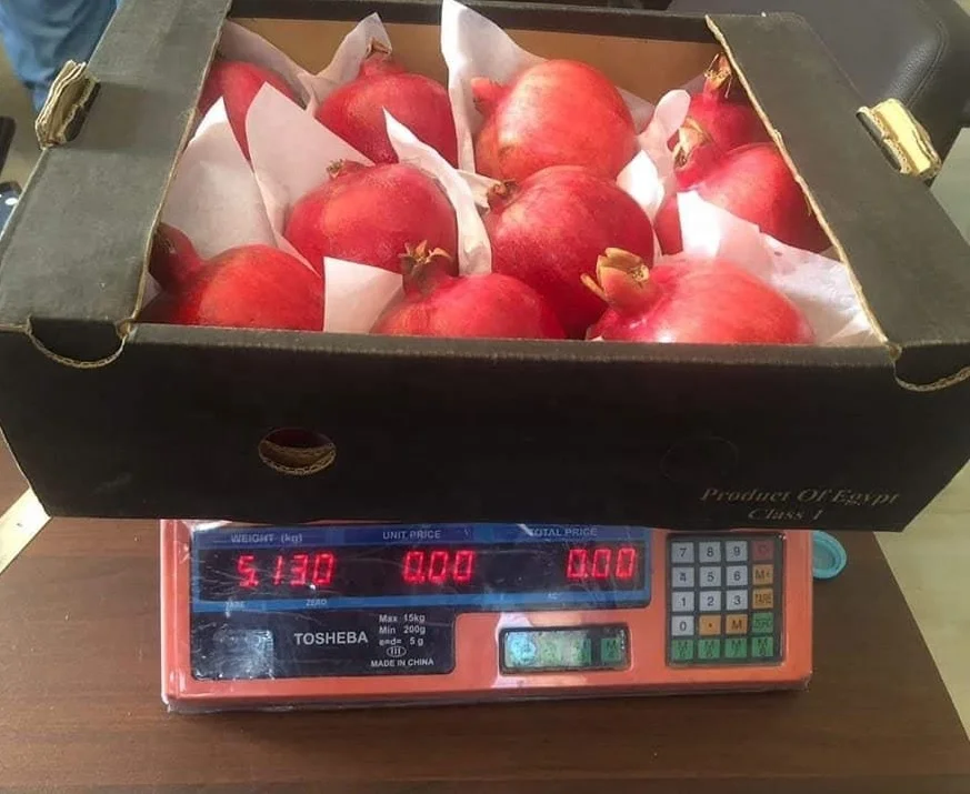 
CHEAP EGYPTIAN POMEGRANATE 