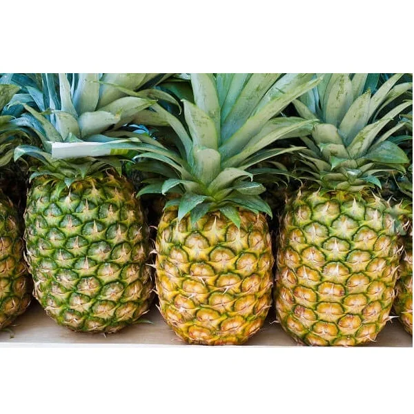
Wholesale Price Rich in Vitamins and Dietary fiber 1-2 Kg Per Piece Organic Fresh Pineapple Fruit 