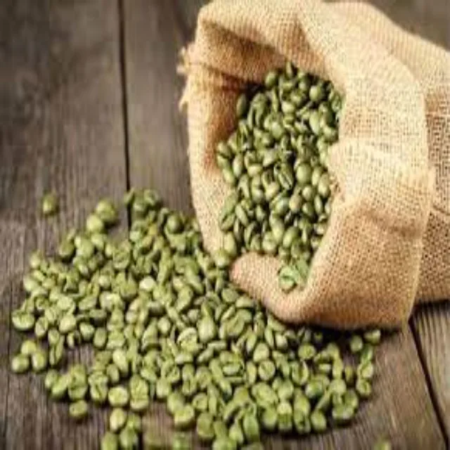 Premium Quality bulk Raw GREEN COFFEE BEANS from India in cheap price help in weight loss