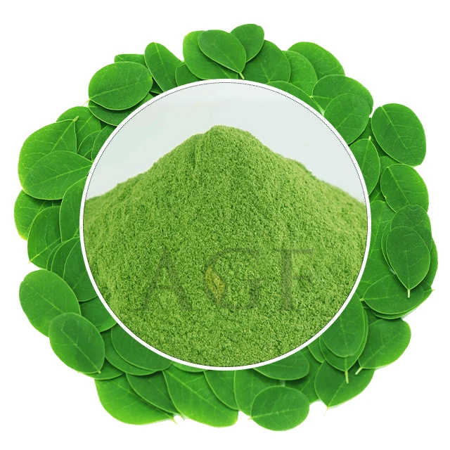 Low price authentic indian organic moringa powder bulk for sale 100% Pure and 100% organic moringa oleifera powder