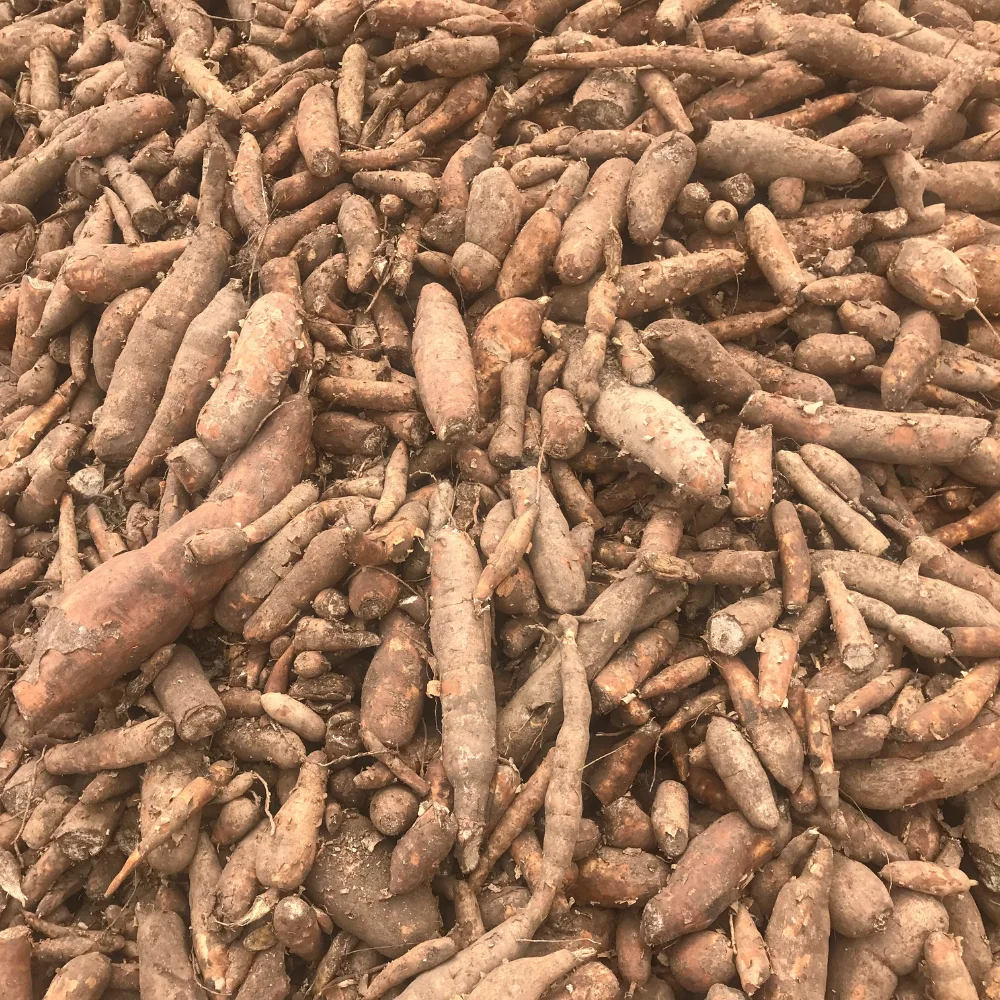 100% Pure natural Tapioca Starch/ Vietnam Cassava flour High quality Factory Supply Food Grade Food Ingredient