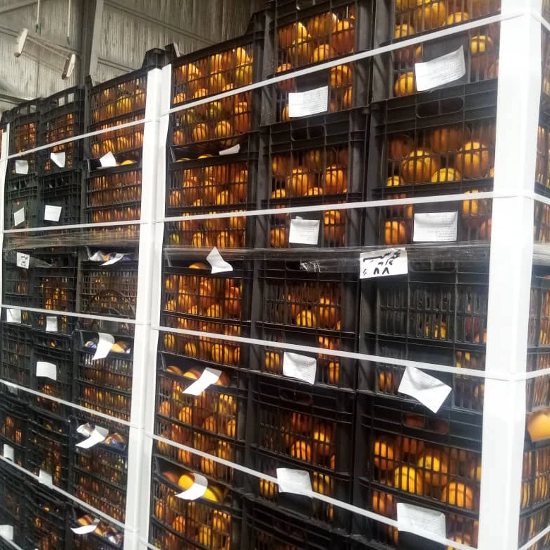 A1 Duper Orange 2021