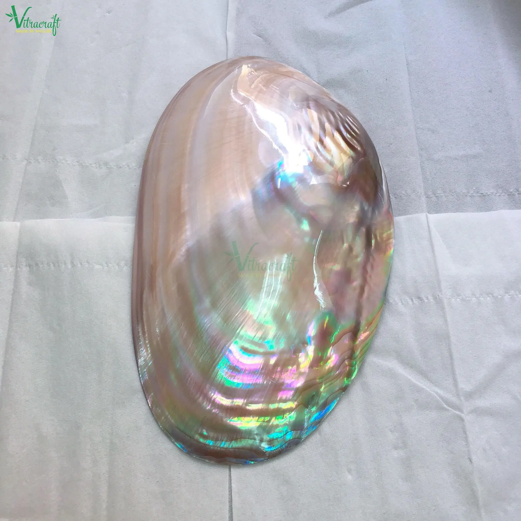 PINK  Pearl Plate , Mother Of Pearl Plate, Caviar Mop Seashell
