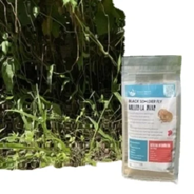 High Nutritional & Protein Value Black Soldier Fly Powder (Milled Larvae) Made Through Refined Process