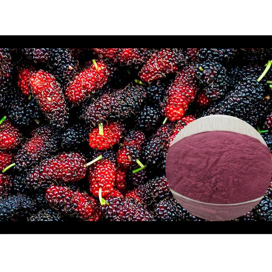 High Quality Solid Extraction Health Protect And Good For Skin Hair Loss Mulberry Extract Powder From DrTH Brand Vietnam
