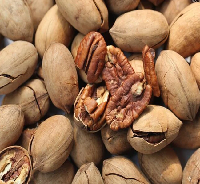 Available  Pecan Nuts