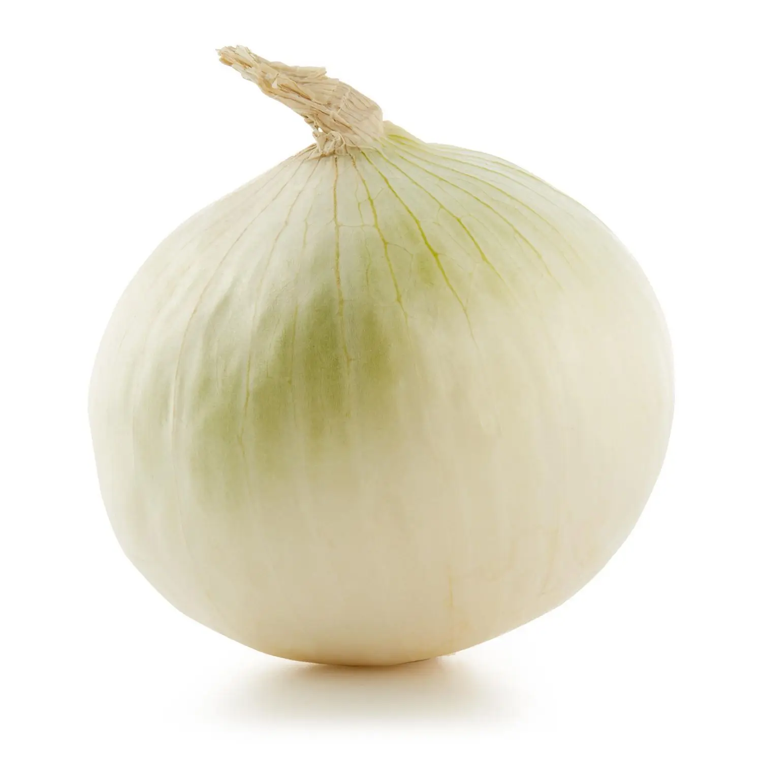 Fresh  white Onion