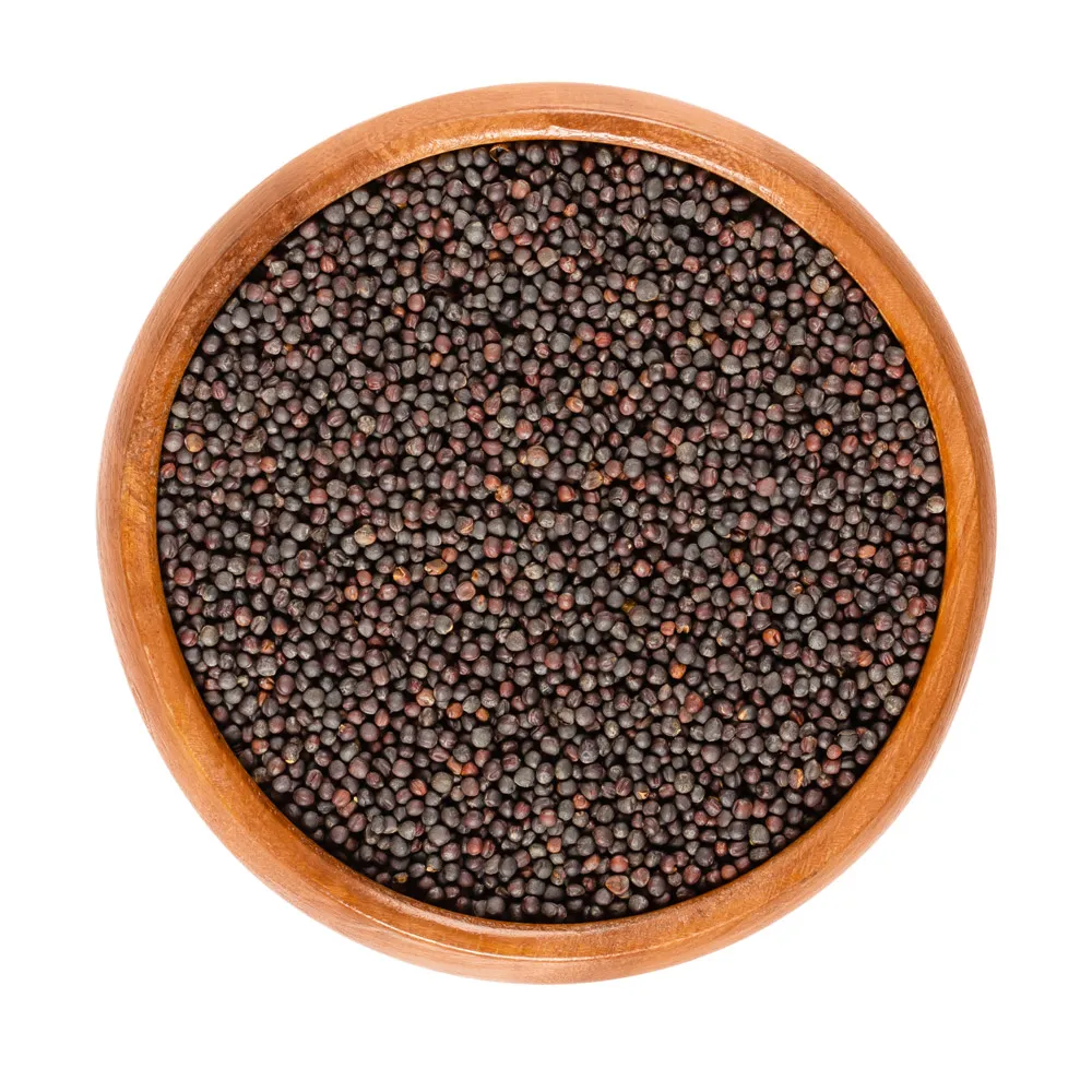 
Canola seeds, Rapeseed for sale 