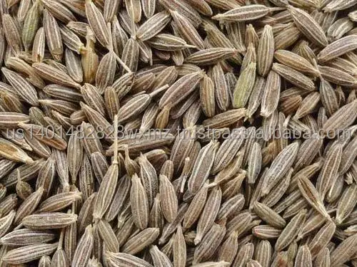 PRODUCTION COMPANY OF BLACK CUMIN SEEDS INDIA