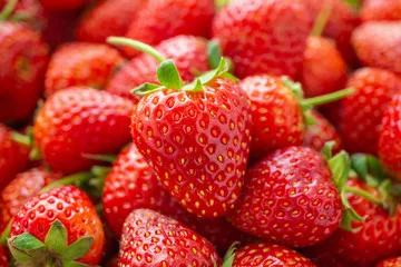 Organic Cultivation Customized logo Fresh Fruit Sweet Slightly Sour taste Low Sugar Strawberry For Export