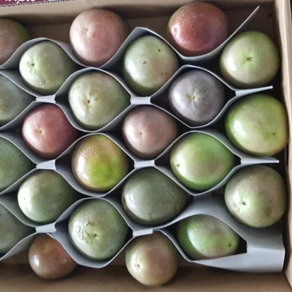 Лучшая цена свежий страстный фрукт из Вьетнама/страстные фрукты Вьетнама высокое качество