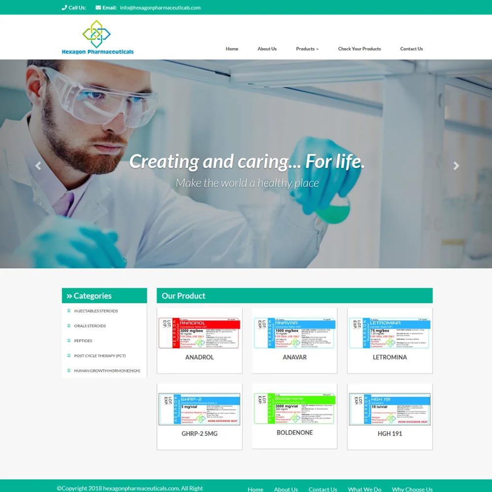Wordpress Website Design Template for Business, CMS Web Designing, Responsive Online Store Development Services