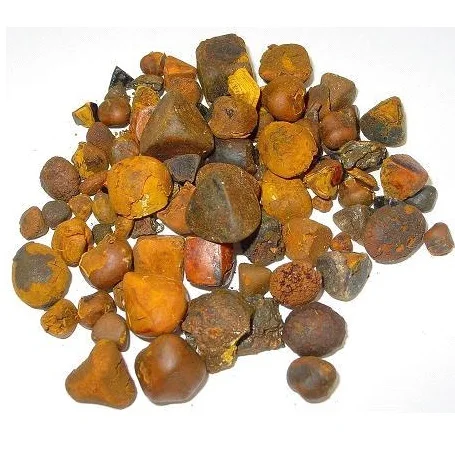 Best Price Cow Gallstones / Ox Gallstones./