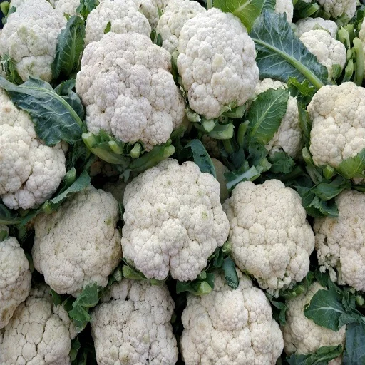 fresh cauliflower from Thailand farm supply all the year round
