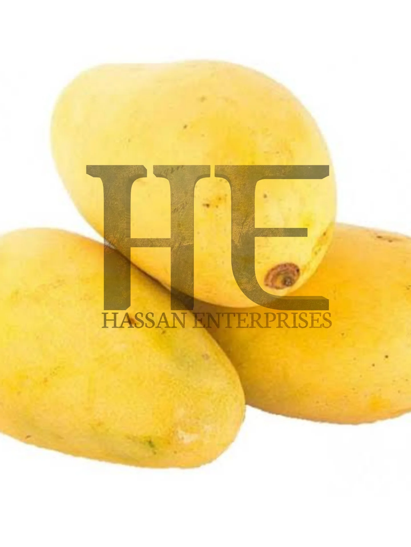 High Quality mango produced in Pakistan  Export Quality