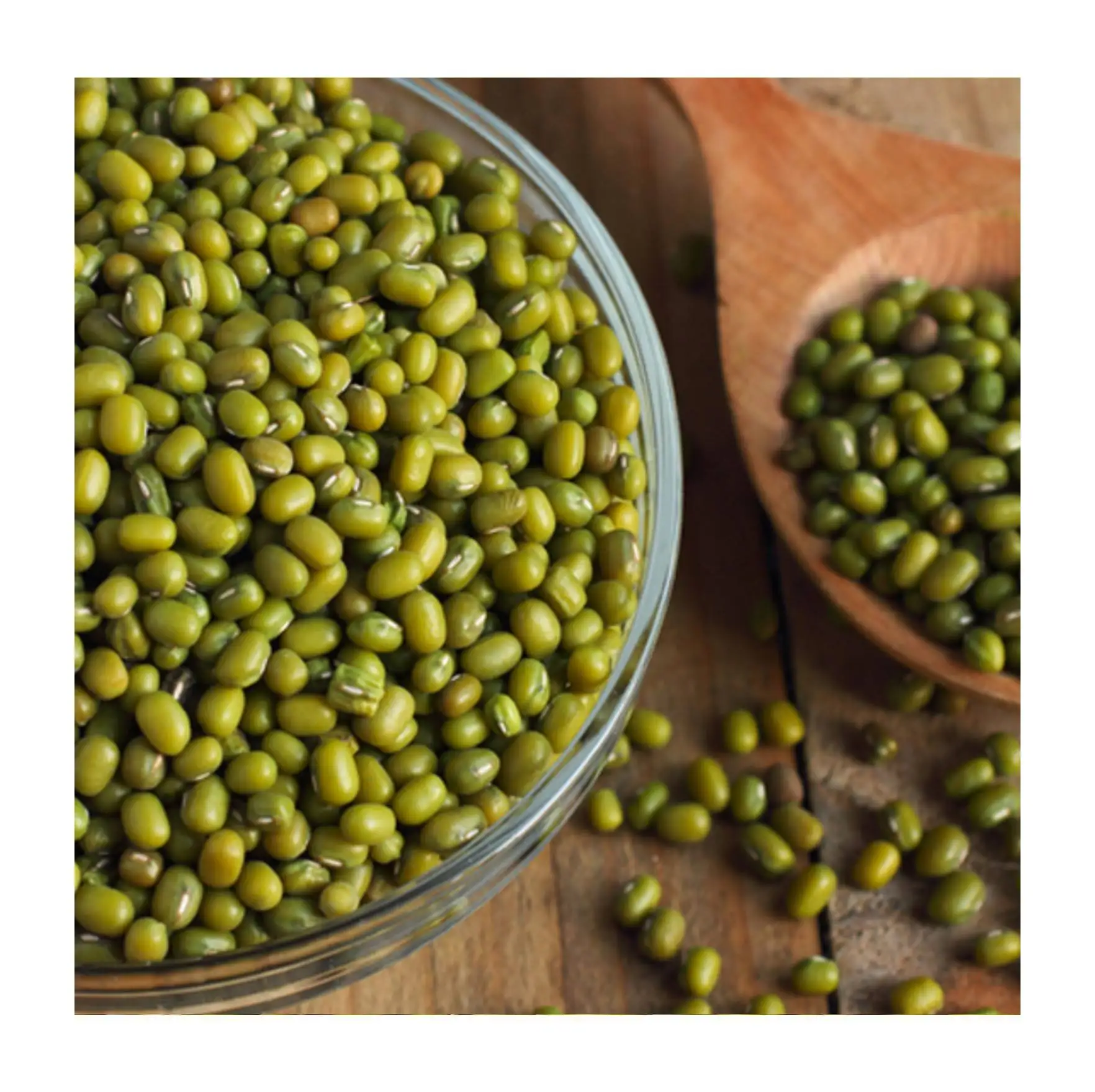 Organic wholesale price mung bean for sprouting with certificate from Uzbekistan manufacturer for export