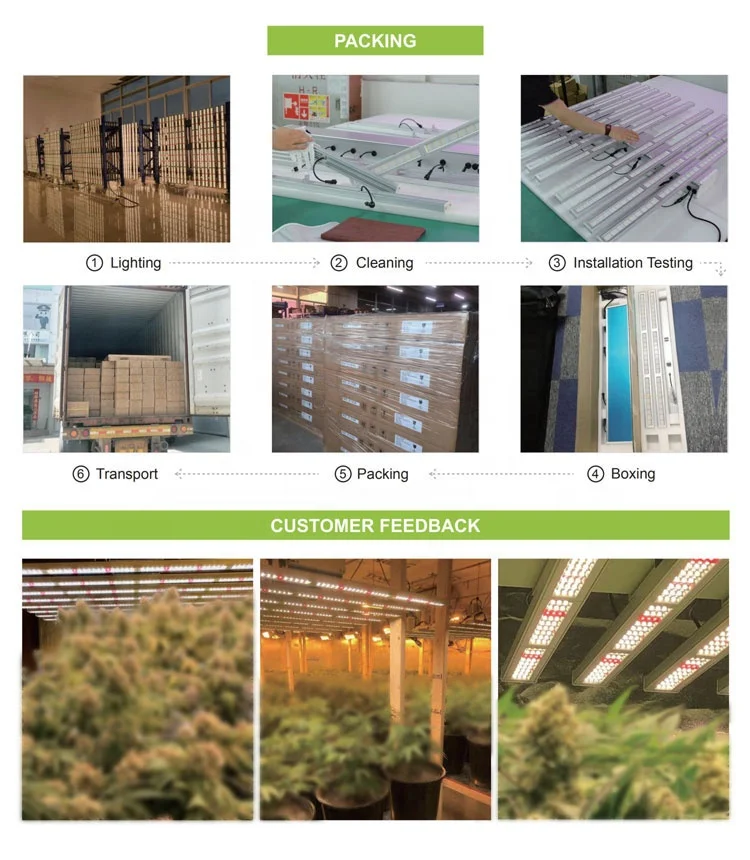 
Hydrophobic Growing lights,Gunduz 345w 600w 1280 w leds lm301h lm301b 3500k 660nm Spyder x 2p Vypr led Grow Light 