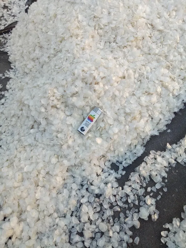 Производство коллагеновых рыбных чешуек оптом чешуевые чешуи для рыбы из Вьетнама Экспорт Китая Кореи Японии ....