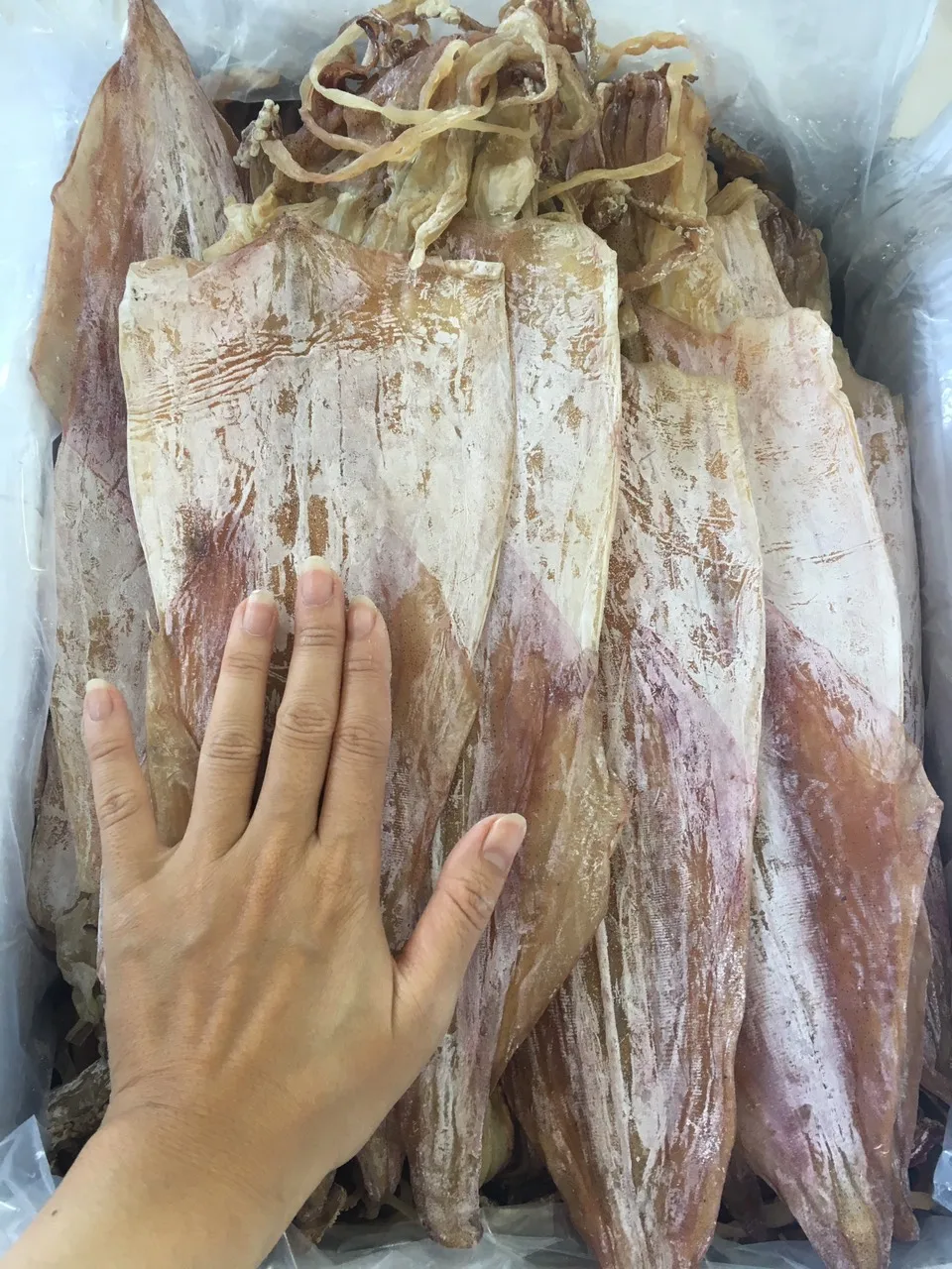  Хит продаж сушеные морепродукты большой кальмар 84 896674503