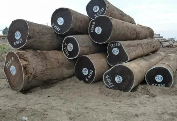 Оптовый поставщик деревянных бревен венге для продажи по низкой цене, большое количество деревянных бревен венге