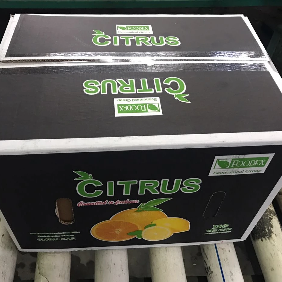 Hot Sales For Egyptian Orange