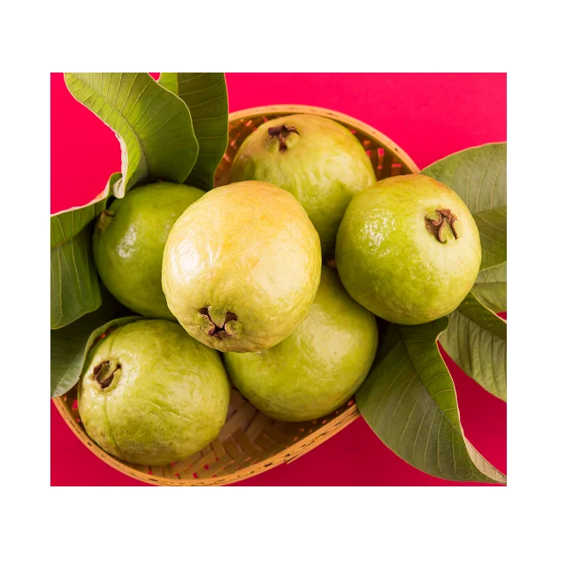 Organic Best Selling Fresh Guava Fruit In Low Price