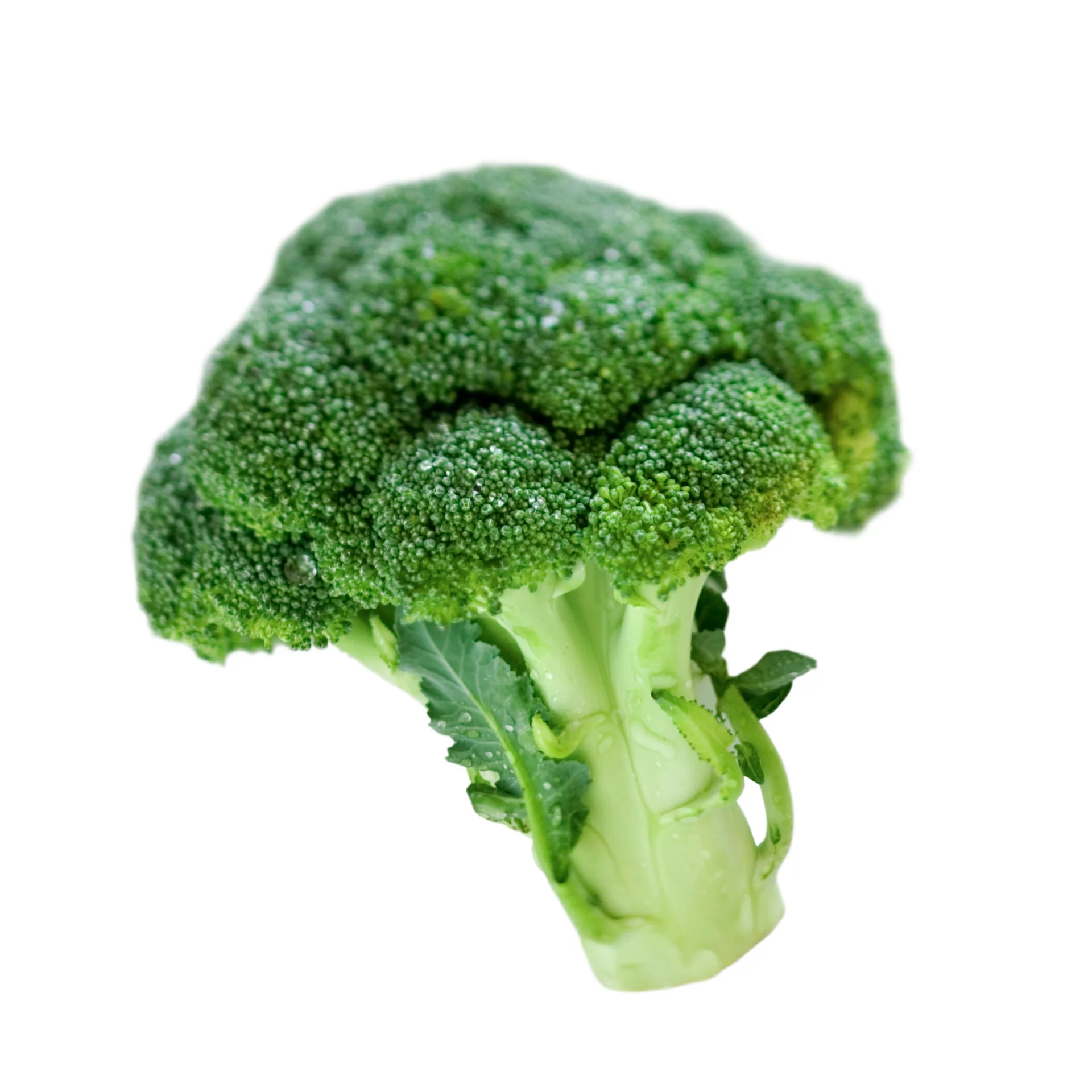 Broccoli - High quality