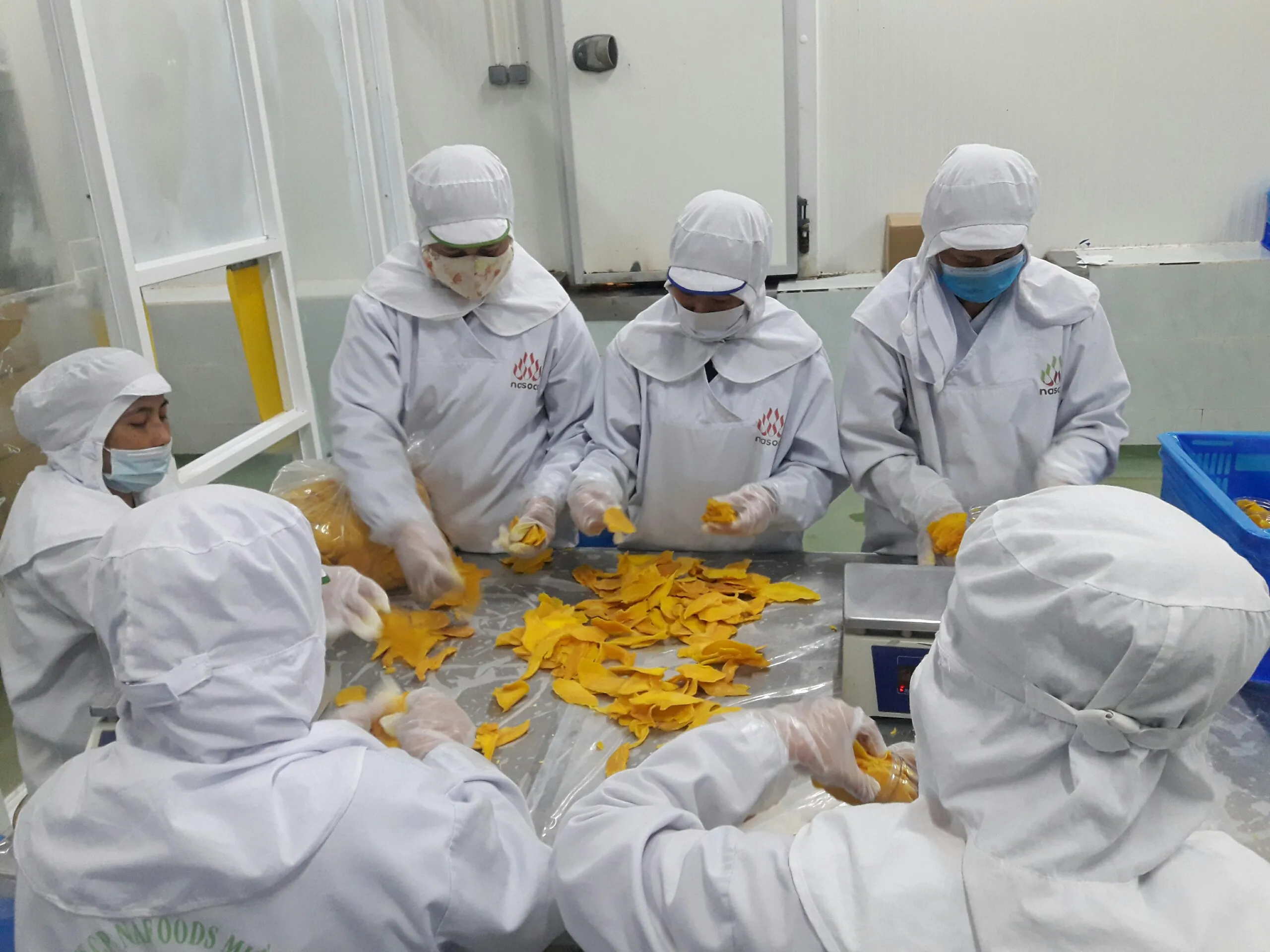 
High Quality Dehydrated Mango Fruit From Vietnam 