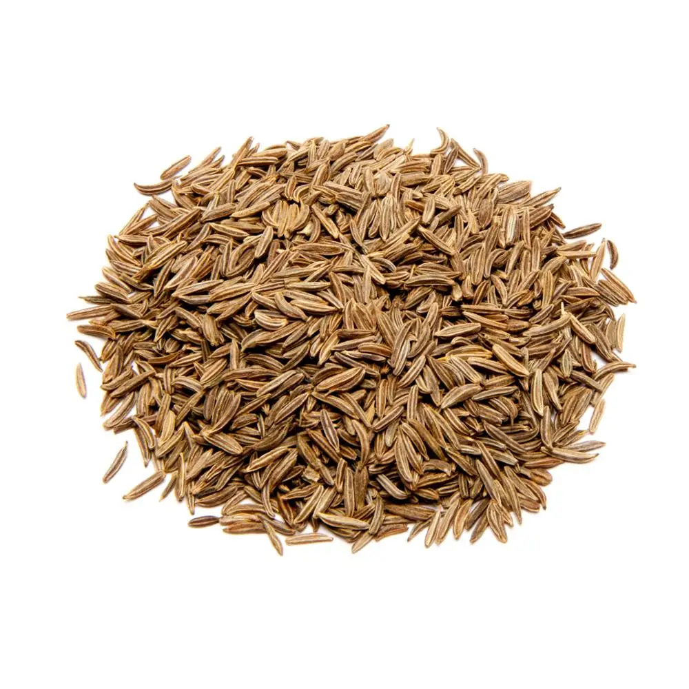Egyptian Caraway Seeds  Wholesale High Purity Single Spices Herbs