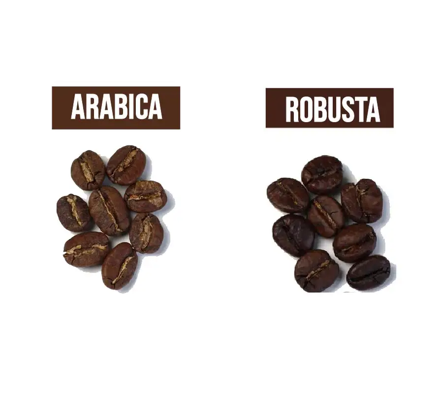 High quality roasted coffee beans mixing Arabica and Robusta coffee/ Blended coffee