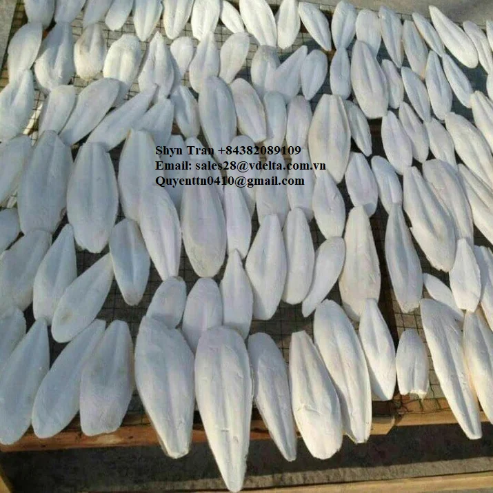 WHOLESALE CUTTLEFISH BONE/ HIGH QUALITY CUTTLEFISH BONE WITH BEST PRICE ( Shyn Tran +84382089109 )