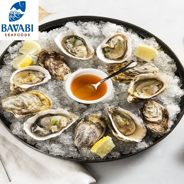 HOT PRICE Oyster Vietnam Supplier Fresh Frozen Pacific Oyster Intestines