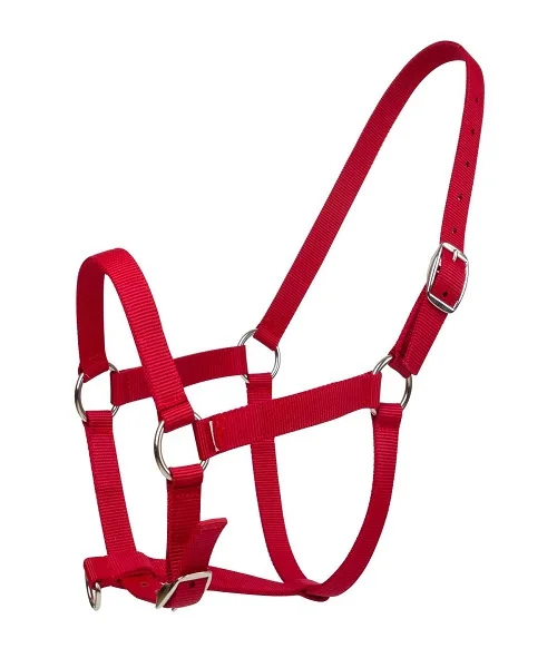 Factory Price Horse Nylon Halter Equestrian Padded designer wholesale Horse Halter