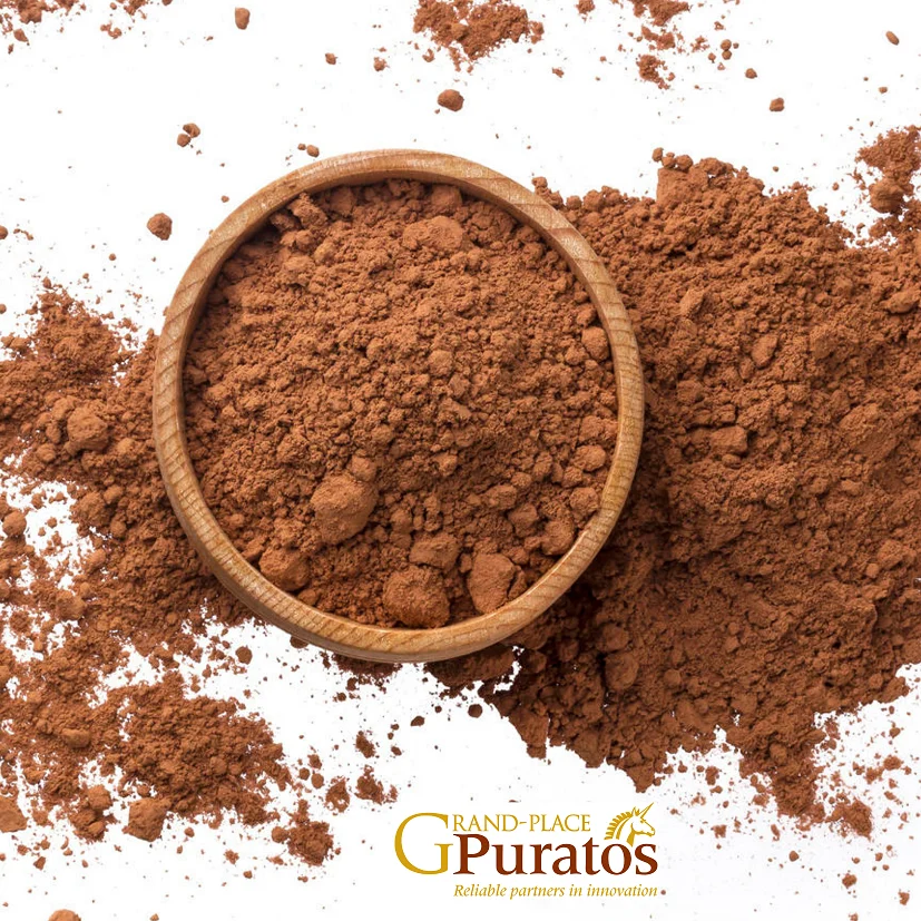 Low fat 100% pure raw cocoa powder with best price