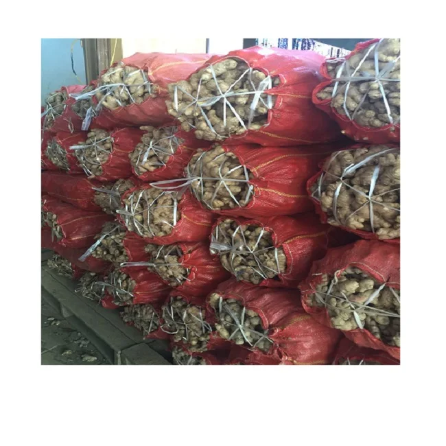 Новинка 100% вьетнамский свежий имбирь от профессионального производителя оптовая цена бесплатный налог