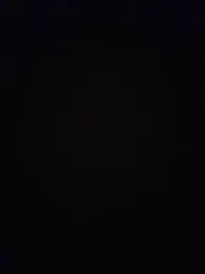 Apex Gloves black colour powder free 3.0gram nitrile Malaysia