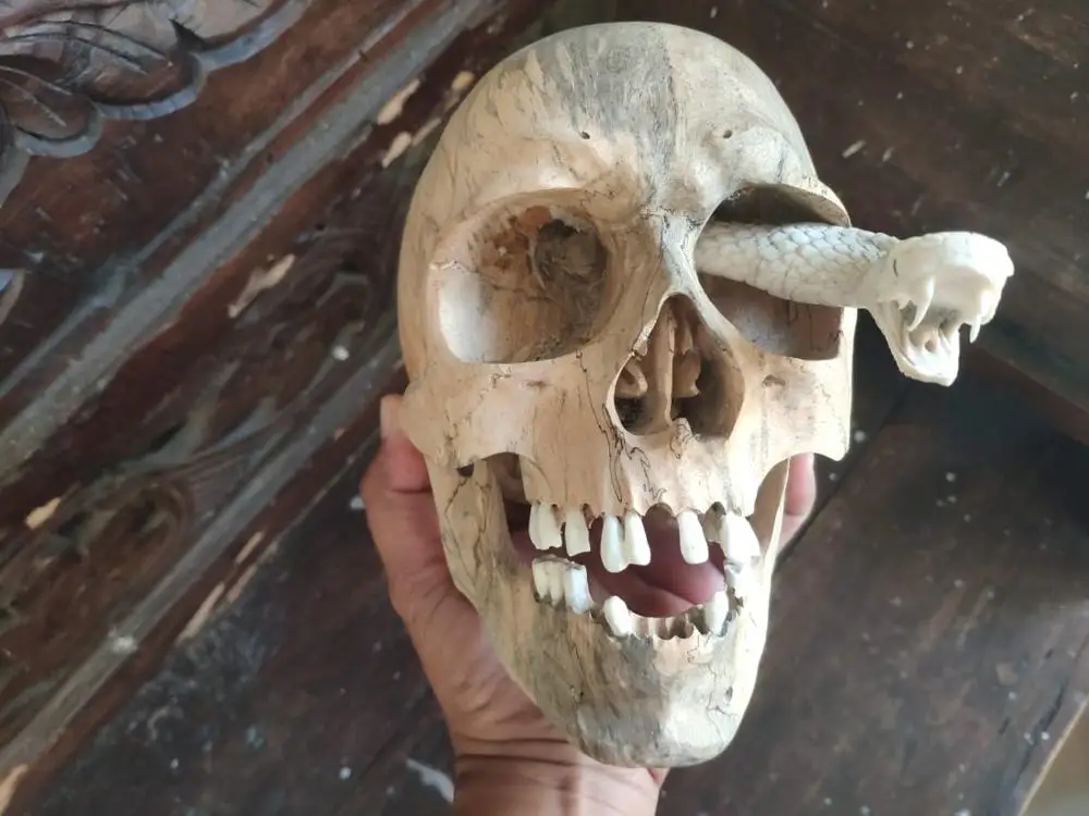 Wood Carving Skulls Antique Bamboo 100% Handmade Carving Art & Collectible Folk Art USA Teak ID;10127097 Figurine Budivis SKULL2