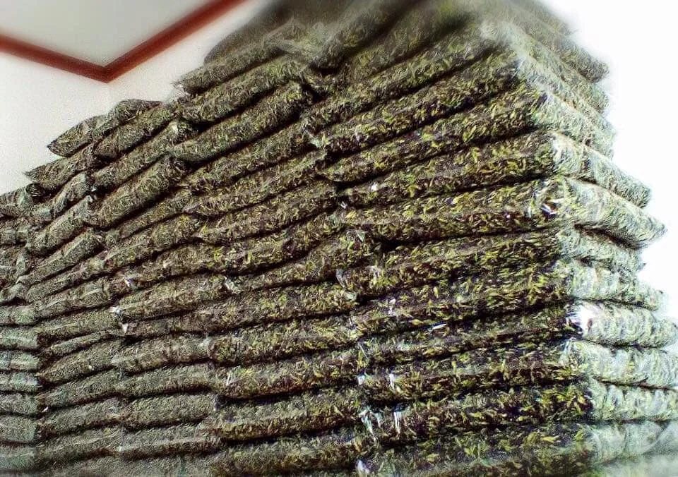 Supanij Organic Dried Butterfly Pea Flower Grade A Best Quality from Thailand for 100% Export