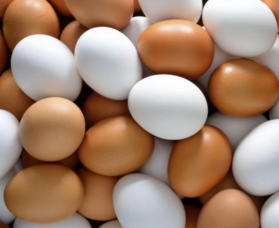 Quality Chicken Fresh Brown / White Table Eggs for Human Consumption