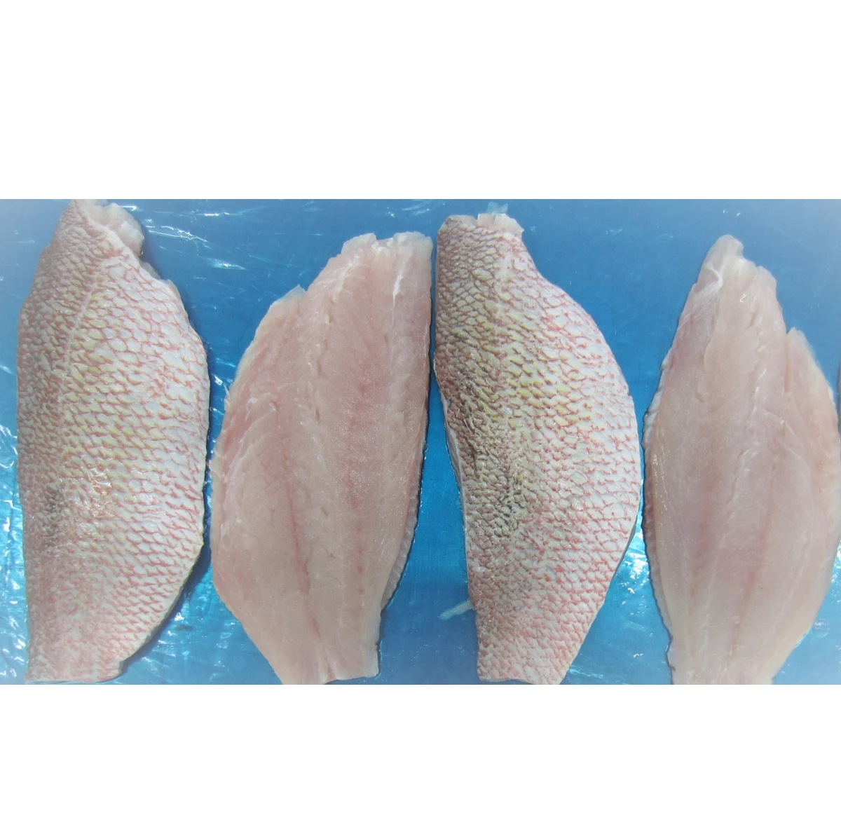 Vietnam supplier Frozen Snapper fillet skin on, boneless in bulk ready to ship with high quality seafood