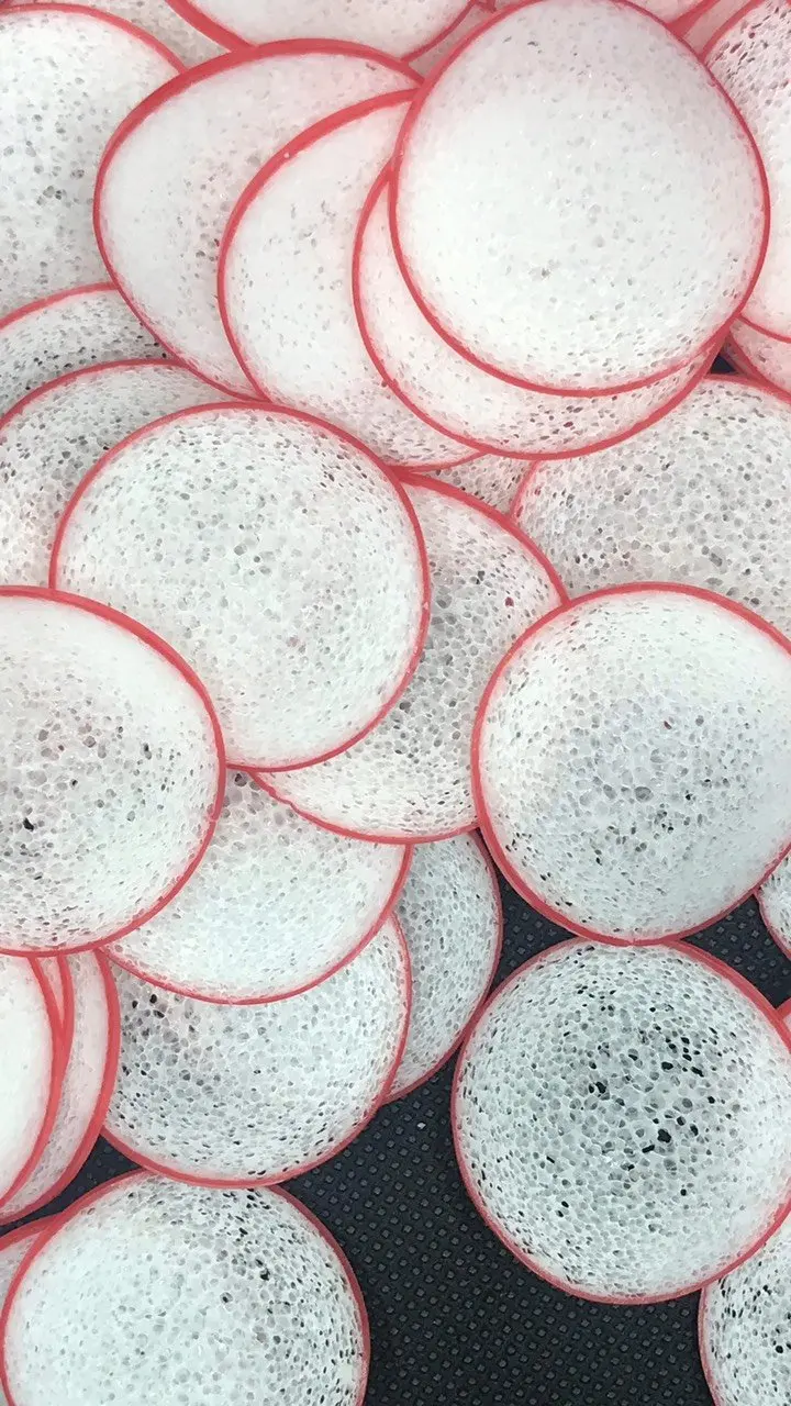 MBBR Ecochip technology protect river comfortable from Viet Nam product