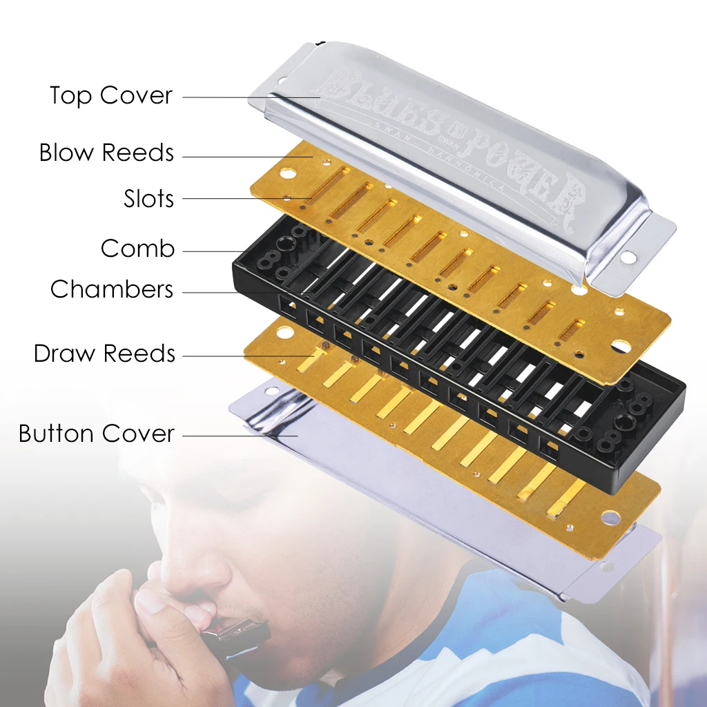 Гармоника NAOMI SWAN для взрослых гармоника с 10 отверстиями начинающих и детей коробкой переноски стандартный подарок